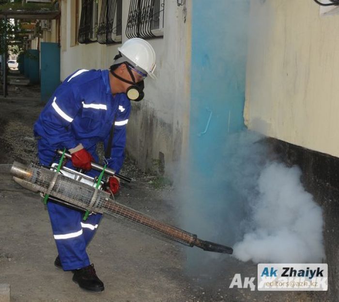 Победители тендеров или комаров? 