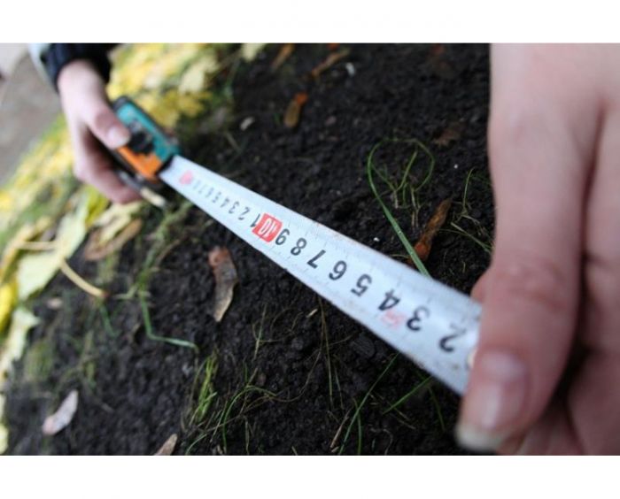 Упростить продажу земельных участков для бизнеса хотят в Казахстане 