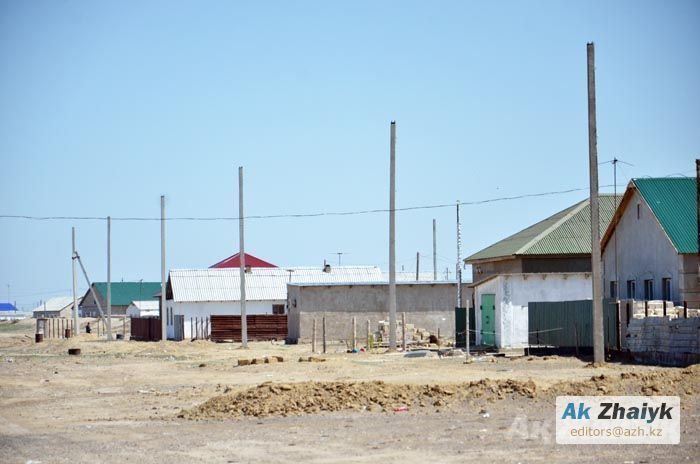 В новом свете