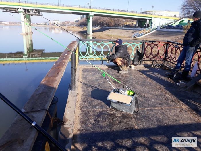 ...И каждый день - рыбный