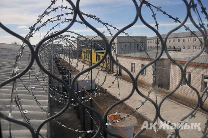 Освобожденных по УДО будут возвращать в колонию из-за употребления алкоголя