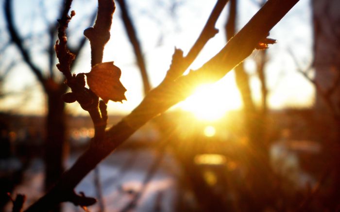 Глобальное потепление в Атырау 