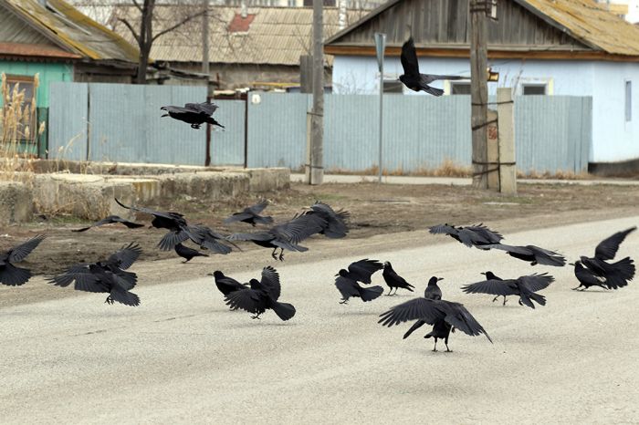 Проворонят денежку