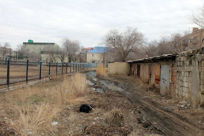 Пришкольная зона