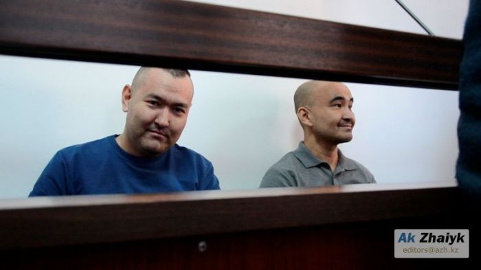 Поезд домой 