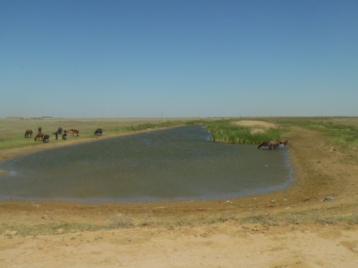 Вода в банке. Исламском 