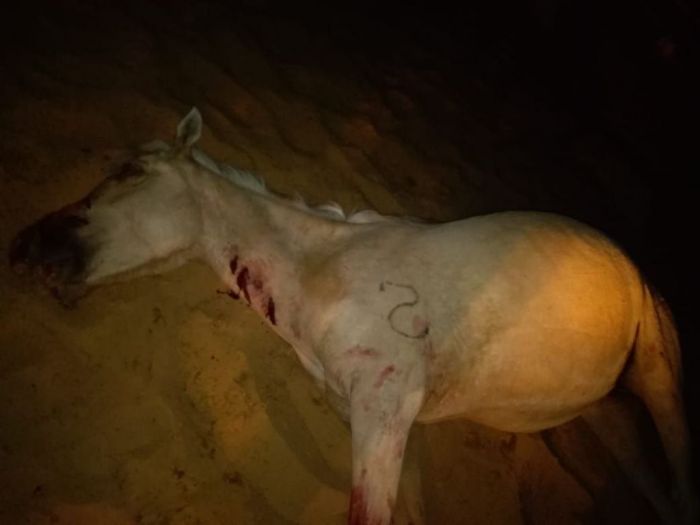 Загадка падежа - 2 