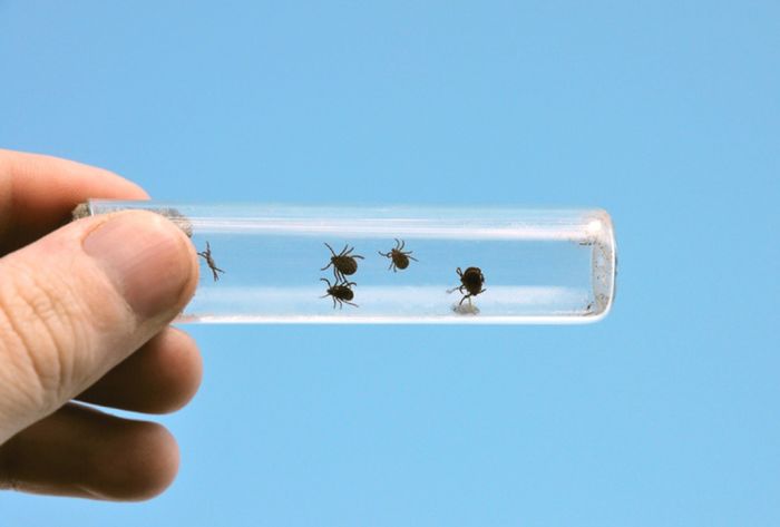 Взяли район в клещи 