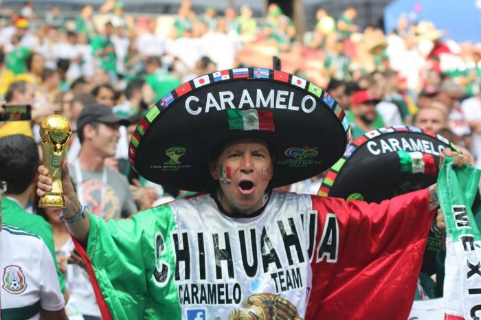 Подземные толчки в Мехико связали с празднованием гола сборной на ЧМ 
