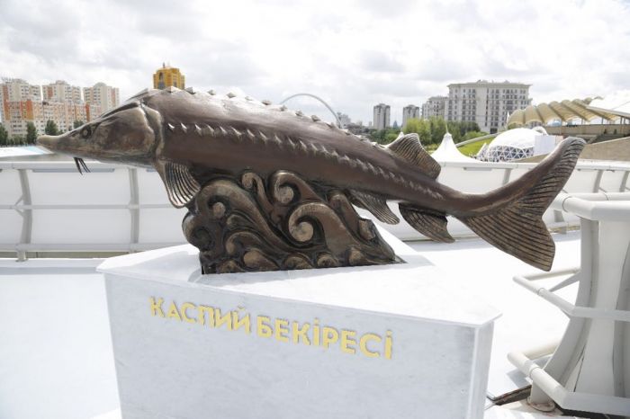 Осмотр вело-пешеходного моста через реку Есиль