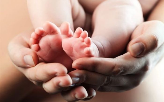 Плоды ожидания 