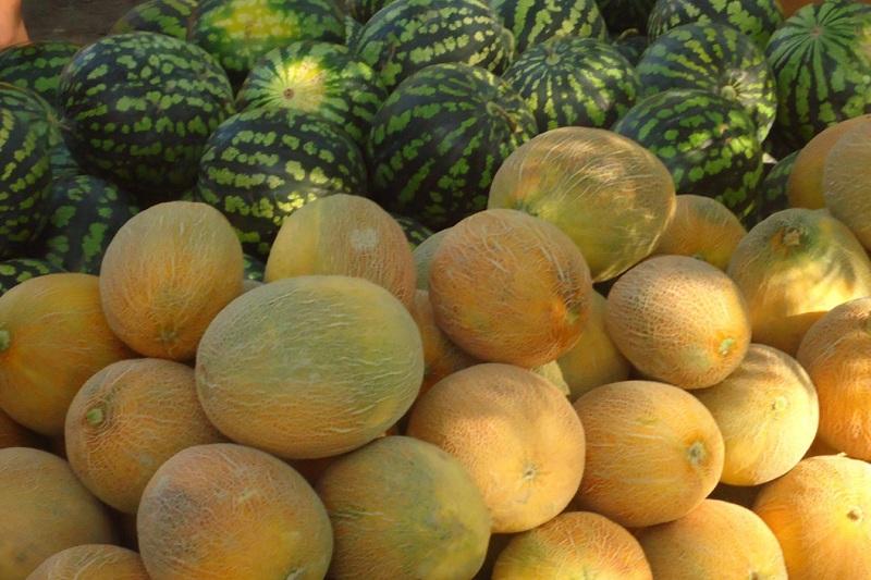 Арбуз и дыня бахчевые. Арбуз и дыня бахчевые. Арбуз и дыня бахчевые. Овощи и бахчевые культуры. Фрукты арбуз дыня.