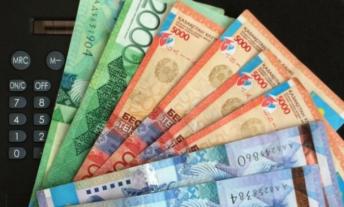 В Казахстане ввели новый вид пособия