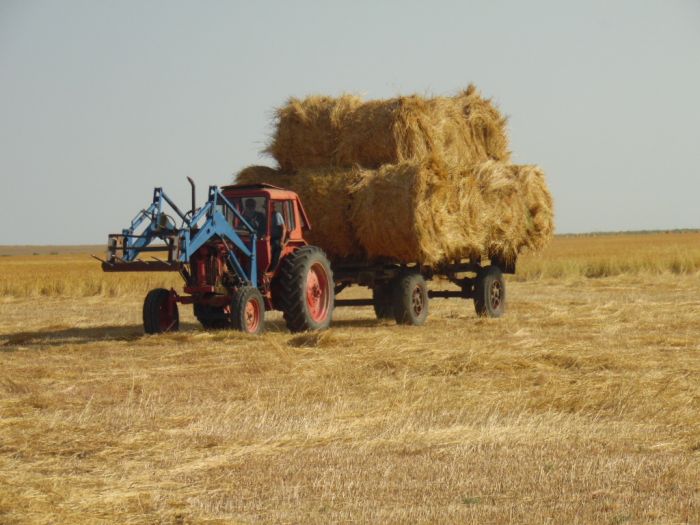 Жылыойцы просятся покосить у соседей