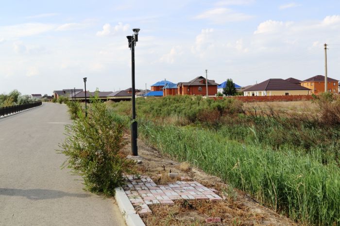 На берегу хорошо, но не очень