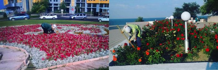 В Актау 823 миллиона тенге потратили на цветы к саммиту 