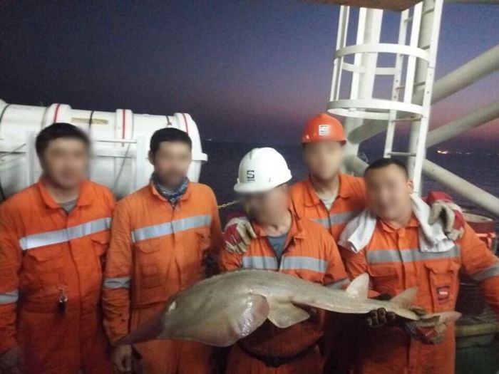 Чудо-юдо на Кашагане