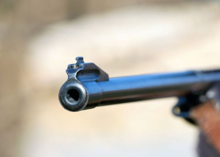 Волка бить – ещё и платить?!