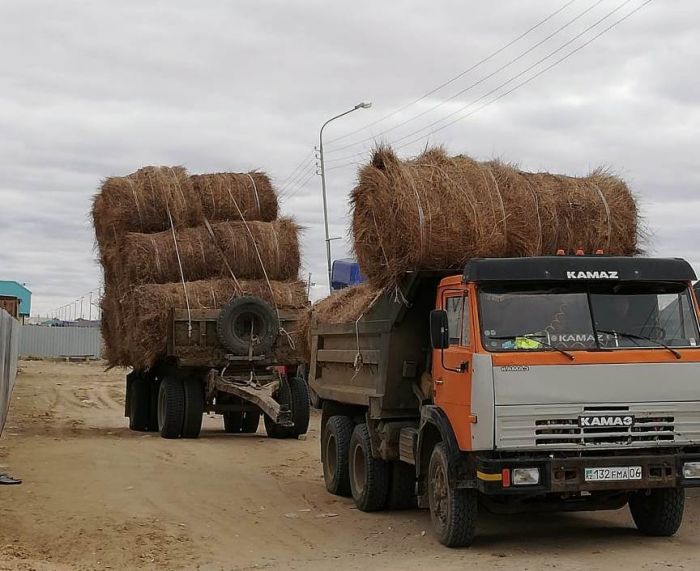 Сосед, дай покосить 