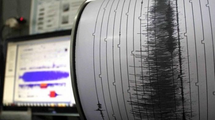 В ДЧС опровергли информацию о возможном 6-балльном землетрясении в Алматы 