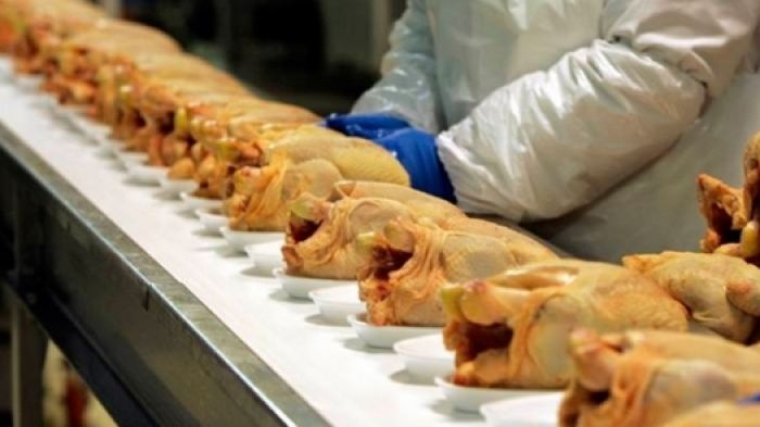 Ограничения Кыргызстана на ввоз мяса птицы из двух областей Казахстана неправомерны – МСХ 