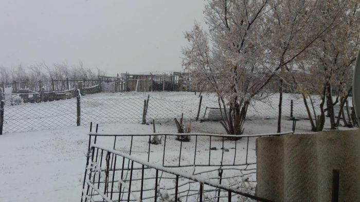 Первый снег выпал в Казахстане