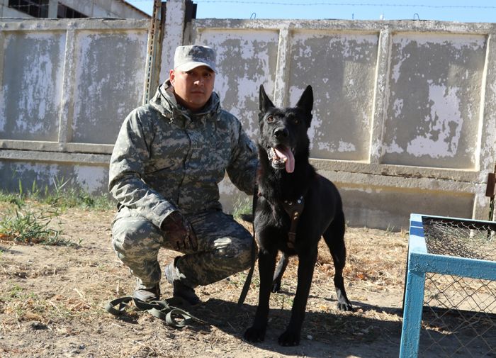 Наша служба гав! опасна и трудна