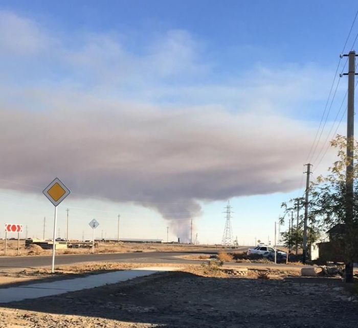 Не пожар на заводе и не смерч – горит  морской камыш 