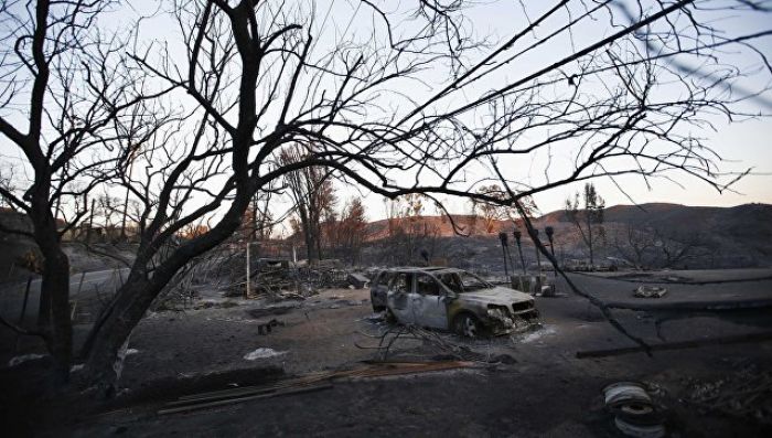 Число жертв лесного пожара в Калифорнии увеличилось до 48 человек 