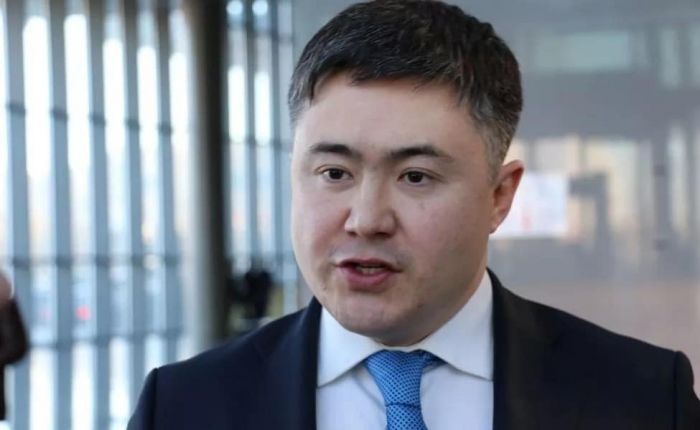 "Не перегните палку": Тимур Сулейменов о тарифах монополистов 