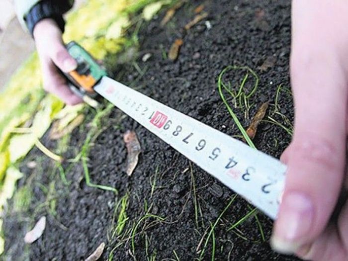 Журнал сгорел, а вместе с ним и заявления на землю 