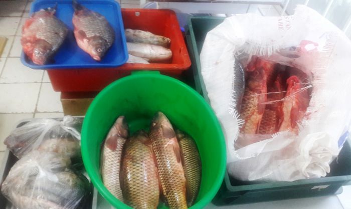 «АЖ» на рыбном рынке