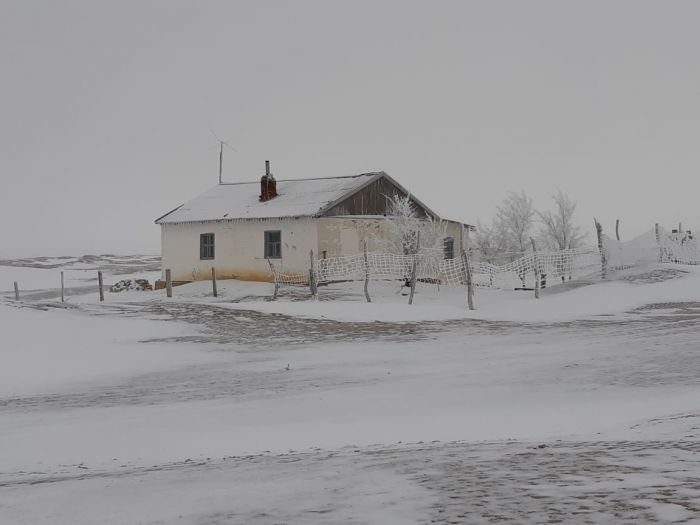 Тепло жизни в белом безмолвии