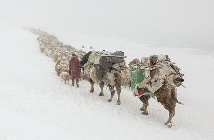 В тот год и джунгар победили