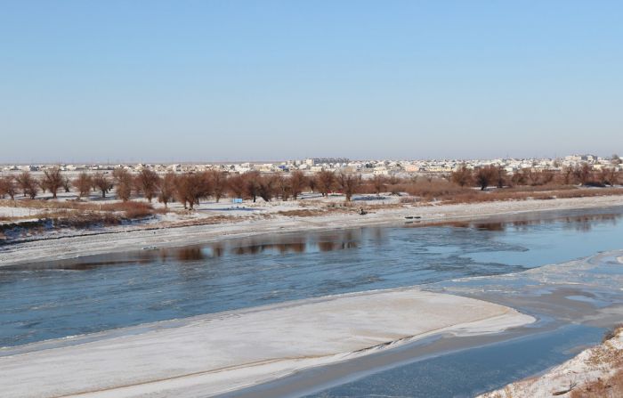 Возвысить степь, не унижая лес