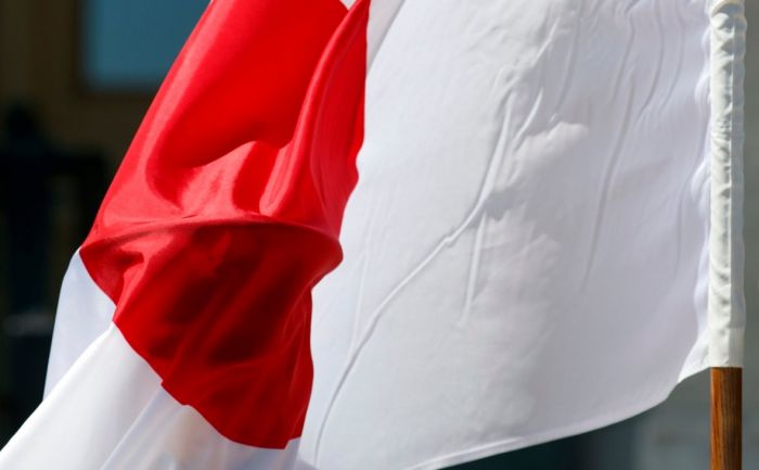 Документы азиатских стран возглавили рейтинг самых «мощных» паспортов 