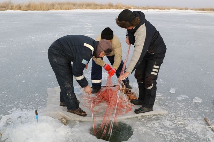 Урал опустел