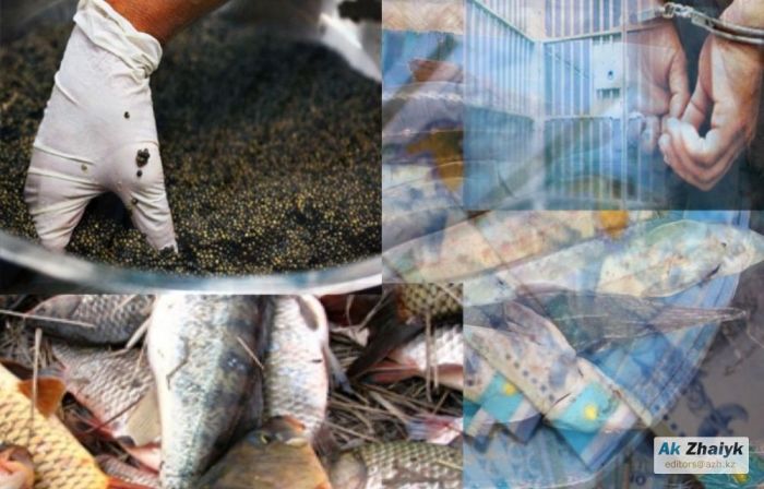 Браконьеры работали под покровительством полиции - Генпрокуратура Казахстана 