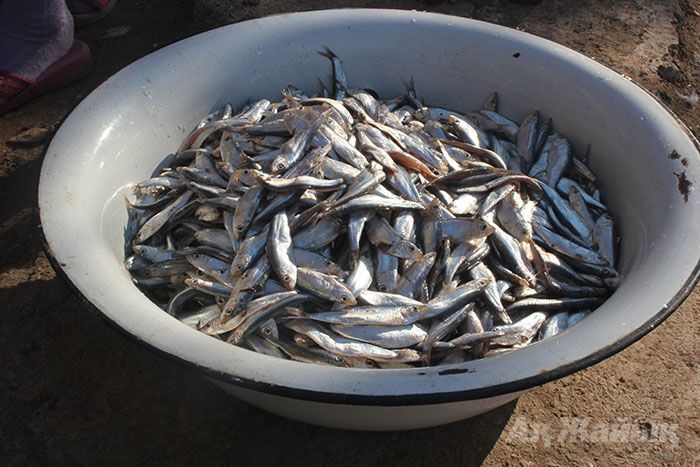 Есть томат, а кильки нет 