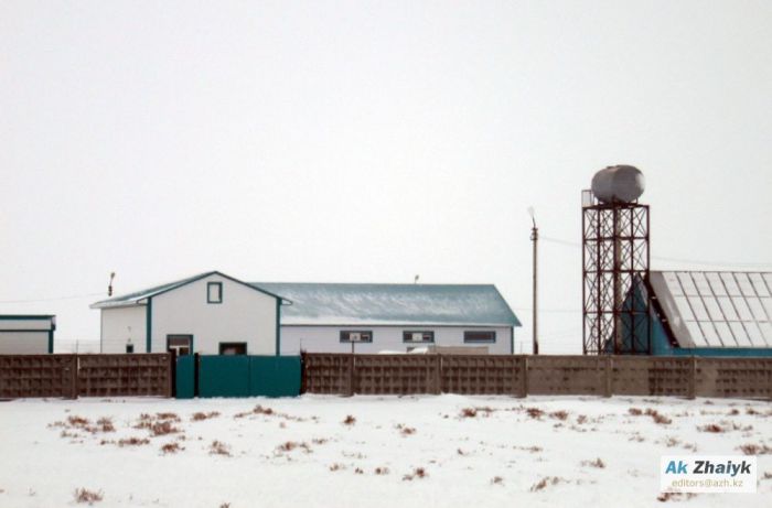 Кто успел, тот и попил 