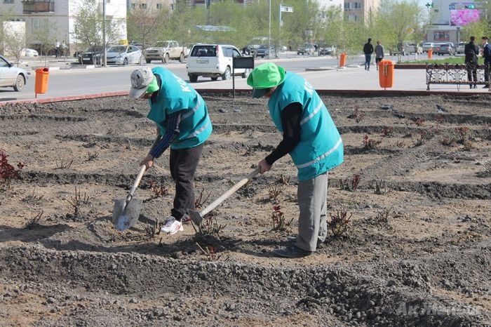 Пришло время заняться зеленью 
