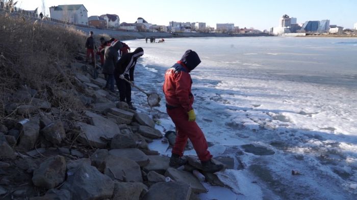 В Атырау очищают Урал от мертвой рыбы