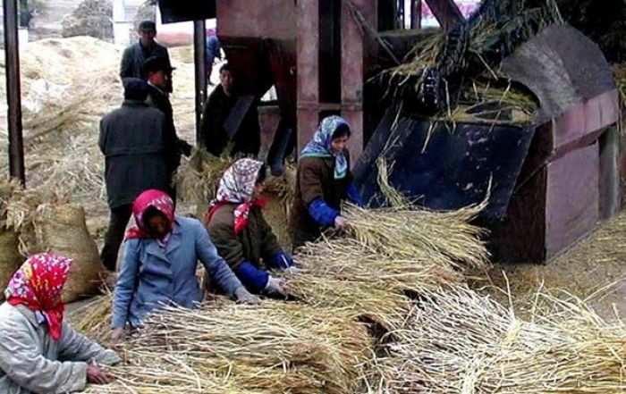 В КНДР снизили продовольственную норму до 300 граммов в день