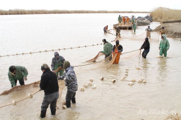 В Астане думают, не отменить ли весеннюю путину  
