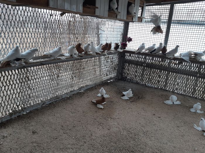 Истории любви над крышами Атырау