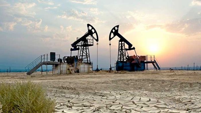 О состоянии окружающей среды на Каламкасе рассказали в Минэнерго