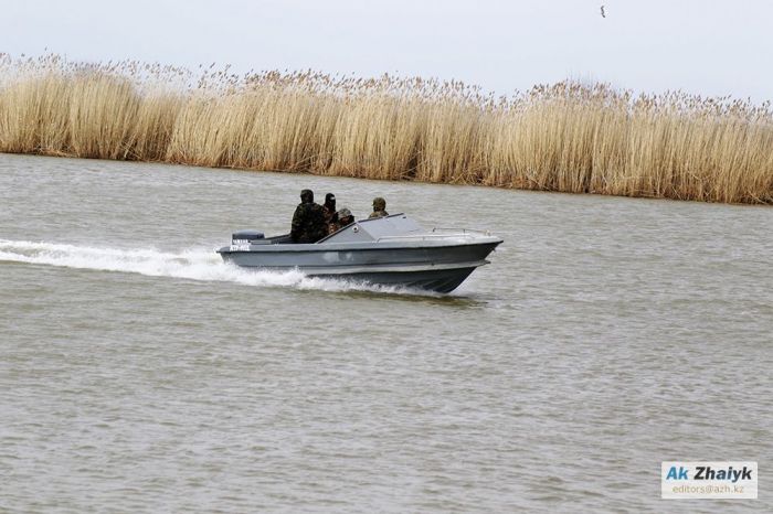 Браконьеры оказались шустры, но ненадолго