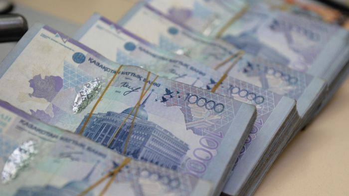 12 млрд тенге просит выделить ЦИК на досрочные выборы Президента РК 