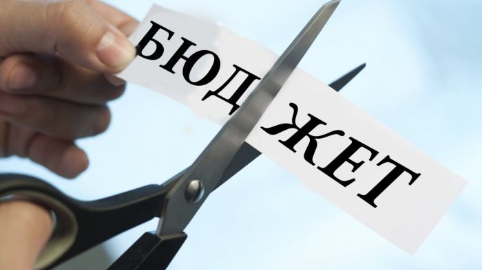 Некоторые акимы и министры рассматривают бюджет как "неисчерпаемую корзину" - Президент 