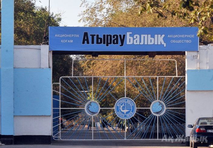 Был рыбокомбинат да сплыл 